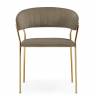 Kamelia 1 cappuccino / gold